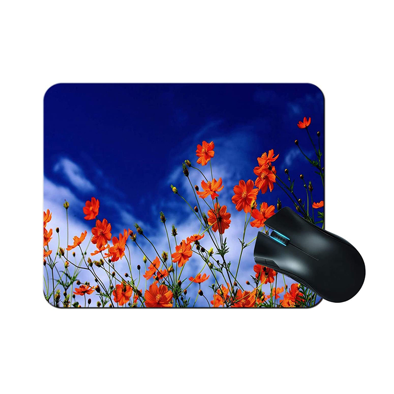 10pcs/Lot Sublimation Blanks R - Mouse Pad Blank Sublimation recensie en prijs